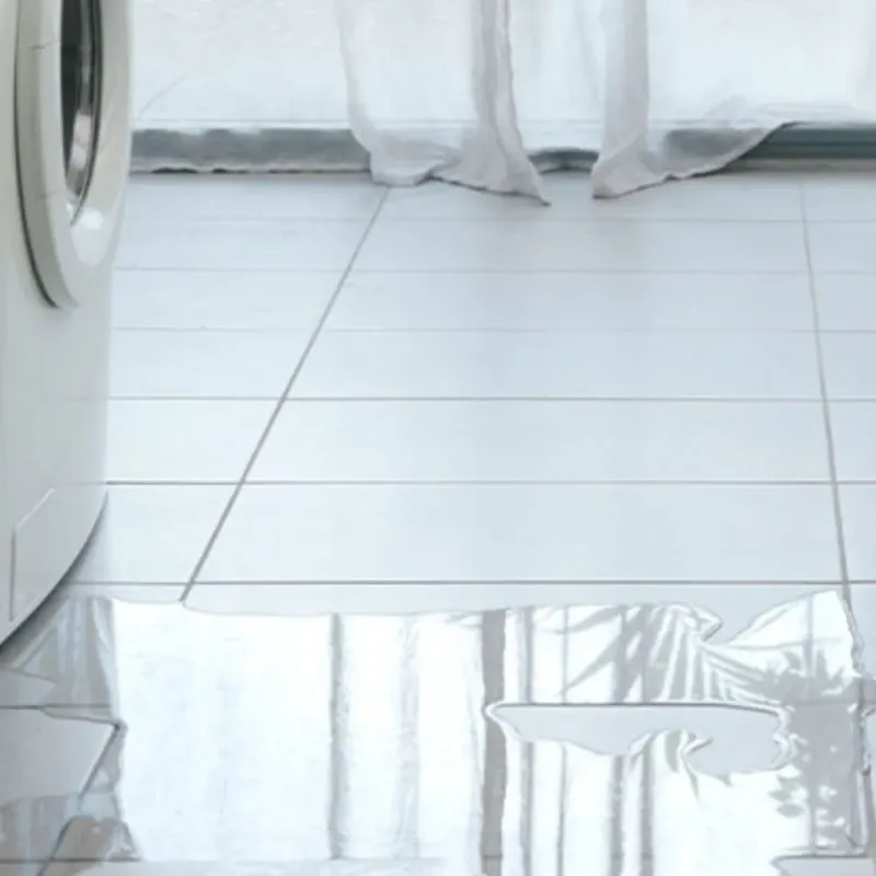 Appliance Leak Cleanup in Atlantis, FL
